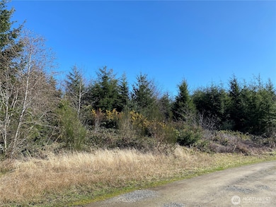 23800 Next to Elm Place, Ocean Park, WA 98640 - photo 2