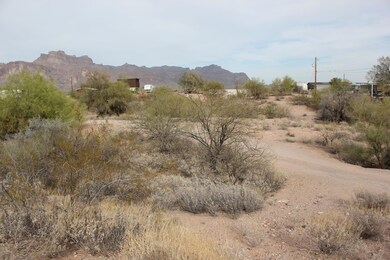 Driveway facing east