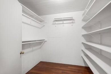 Spacious closet featuring dark wood-type flooring