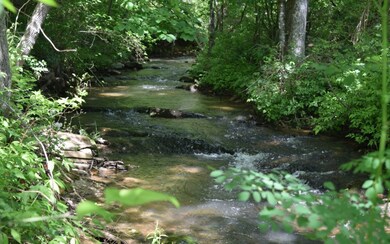 Additional View