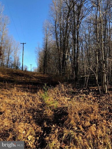 0 Swaim Ln unit WVMO108558, Berkeley Springs, WV 25411 - photo 5