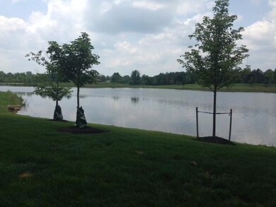 Pond view