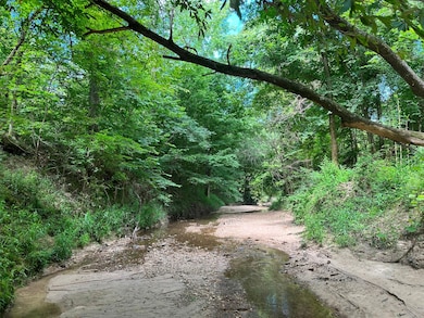 Tillman Chapel Rd, Port Gibson, MS 39150 - photo 4