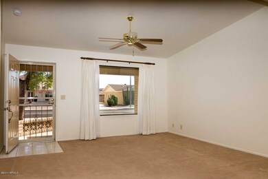 South facing living room windows.