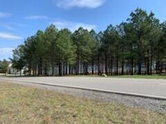 Lot 160 River Bluffs Dr, Jasper, TN 37347 - photo 7