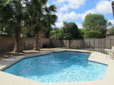 Sparkling Clean Swimming Pool