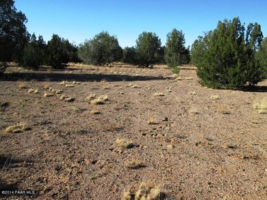 349130 No Name, Ash Fork, AZ 86320 - photo 5