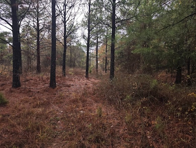 431714 E 1865 Rd, Rattan, OK 74562 - photo 5