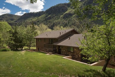 Backyard lawn