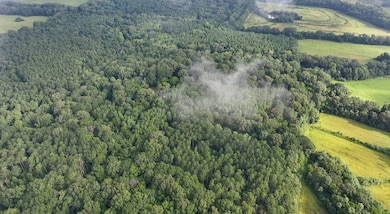 5302 Bend Rd, Vaughan, MS 39179 - photo 6