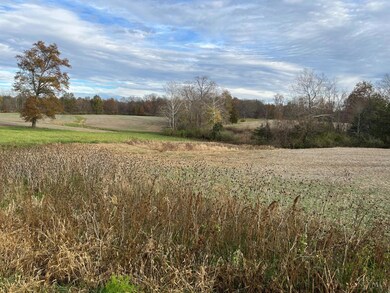 0 Collins Riley Rd unit 1825515, Blanchester, OH 45107 - photo 2