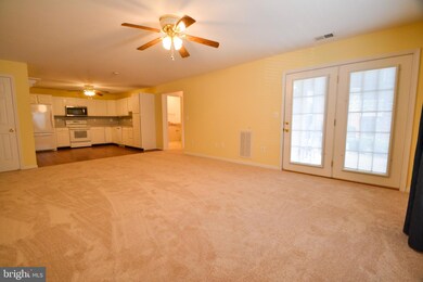 2011 Rudy Serra Dr unit 1D, Sykesville, MD 21784 - photo 7