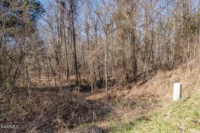 4.42 ac Hidden River Ln, Sparta, TN 38583 - photo 6