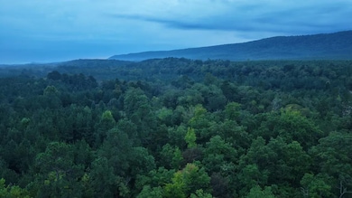 Lowrie Loop, Smithville, OK 74957 - photo 5