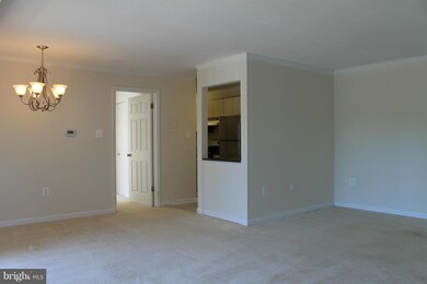 204 Park Terrace Ct SE unit 26, Vienna, VA 22180 - photo 4