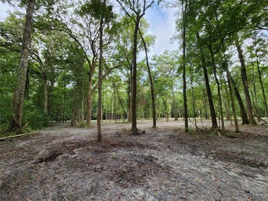 Lot 50 SW Boston Terrace, Fort White, FL 32038 - photo 6