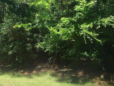 23407 Green Forest St, Hockley, TX 77447 - photo 3