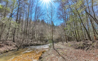 627 Walker Ridge, Ellijay, GA 30540 - photo 3