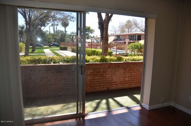great room patio/view