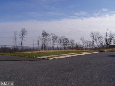 317 Wildflower Dr, East Earl, PA 17519 - photo 4