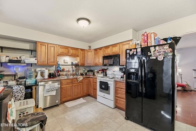 4510 Mockingbird Dr NE, Knoxville, TN 37918 - photo 6