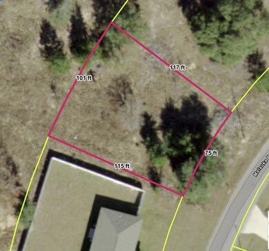 0 Malauka Radial Cir, Silver Springs Shores East, FL 32179 - photo 2