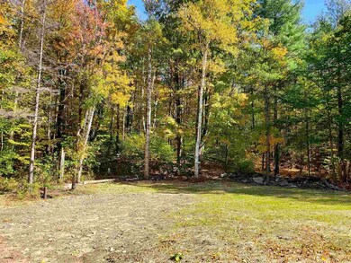 147 Shirley Cir, Townshend, VT 05353 - photo 2