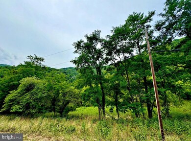 TBD Dumpling Run Rd, Moorefield, WV 26836 - photo 7