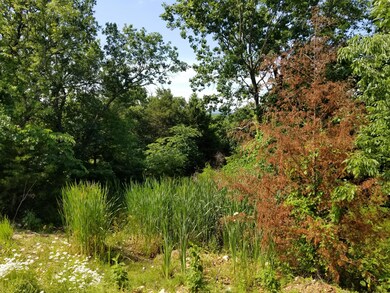 Tbd Lot 40 Summer Rd, Ruth B Rural Township, MO 65686 - photo 5