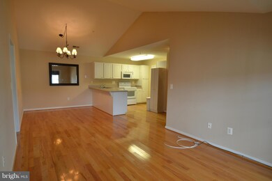 2013 Rudy Serra Dr unit 3C, Sykesville, MD 21784 - photo 5