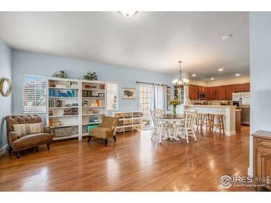 362 Cajetan St, Fort Collins, CO 80524 - photo 7