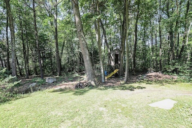 Tree House & Play Area