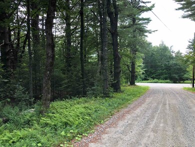 0 Deer Hill Rd unit 4 & 9 4924588, Whitingham, VT 05361 - photo 2