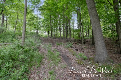 V/L N Ridge Ct, Middleville, MI 49333 - photo 6