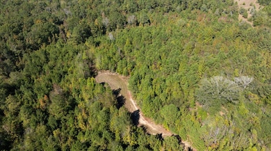 0 Mccloud Rd unit 21614202, Alberta, AL 36720 - photo 4