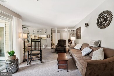 300 Juneberry Way unit 1C, Glen Burnie, MD 21061 - photo 7