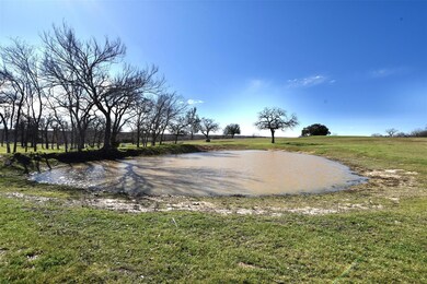 3663 Old Agnes Rd, Weatherford, TX 76088 - photo 4