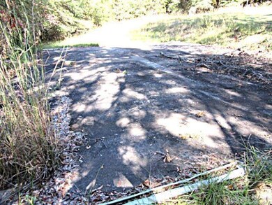 14 Prickly Pear Loop, Vilonia, AR 72173 - photo 4