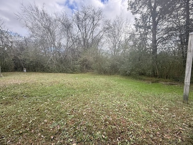 1370 Daniels St, Christiana, TN 37037 - photo 3