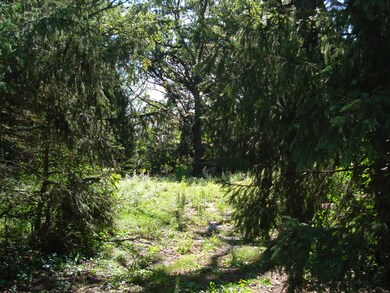 9513-17 Forest Place, Des Plaines, IL 60016 - photo 4