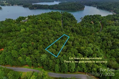 377 Harborside Dr unit 245, Nebo, NC 28761 - photo 5