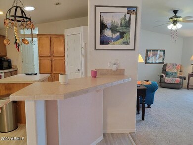 3611 Breakfast counter