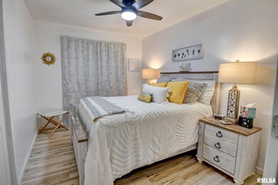 904 W Vandever St, Taylorville, IL 62568 - photo 5