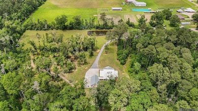 19397 Louisiana 42, Livingston, LA 70754 - photo 3