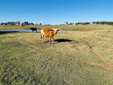 6165 Cr-253, Terrell, TX 75160 - photo 7