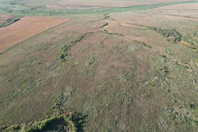 Tbd 340th St, Ogema, MN 56569 - photo 7