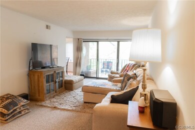 1501 Regency Woods Rd unit 202, Henrico, VA 23238 - photo 4