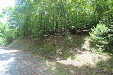 Lt 2628 Garnet Dr, Ellijay, GA 30540 - photo 2