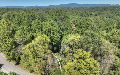 13.32 Old Tails Creek Rd, Ellijay, GA 30540 - photo 5