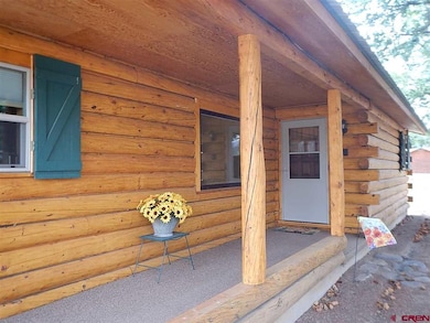 62 & 52 Fir Dr, South Fork, CO 81154 - photo 4